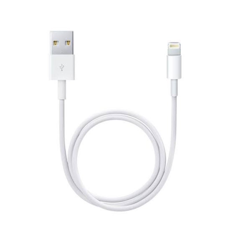 Apple Lightning to USB Cable (1m)